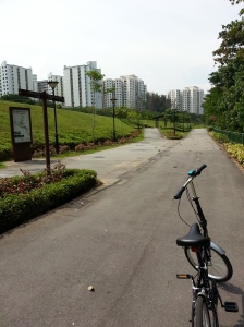 Benefit of cycling on weekdays: the whole track is literally yours
